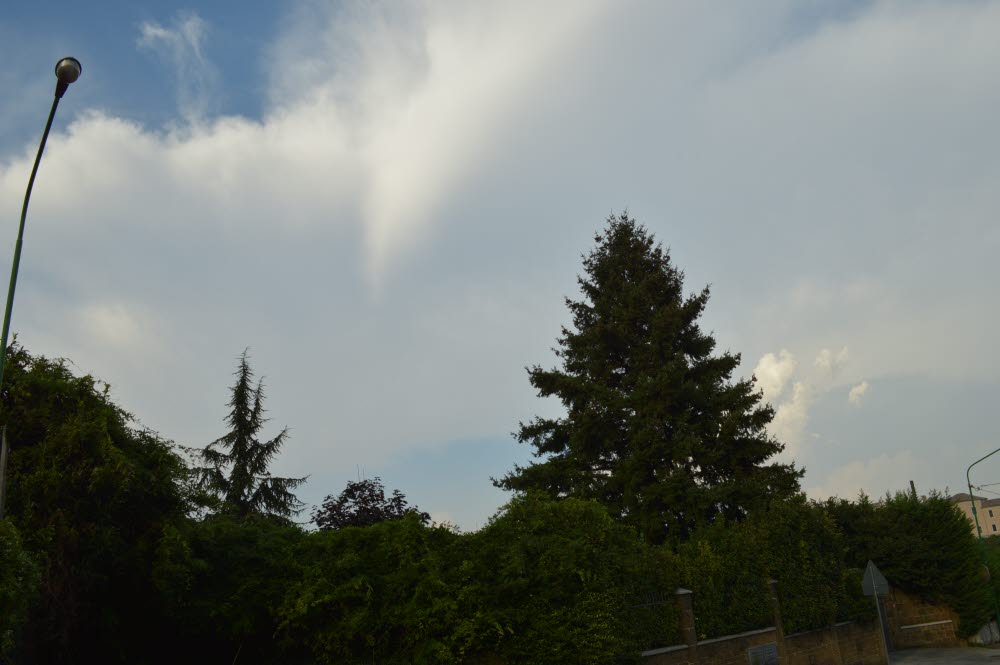 DSC_0071