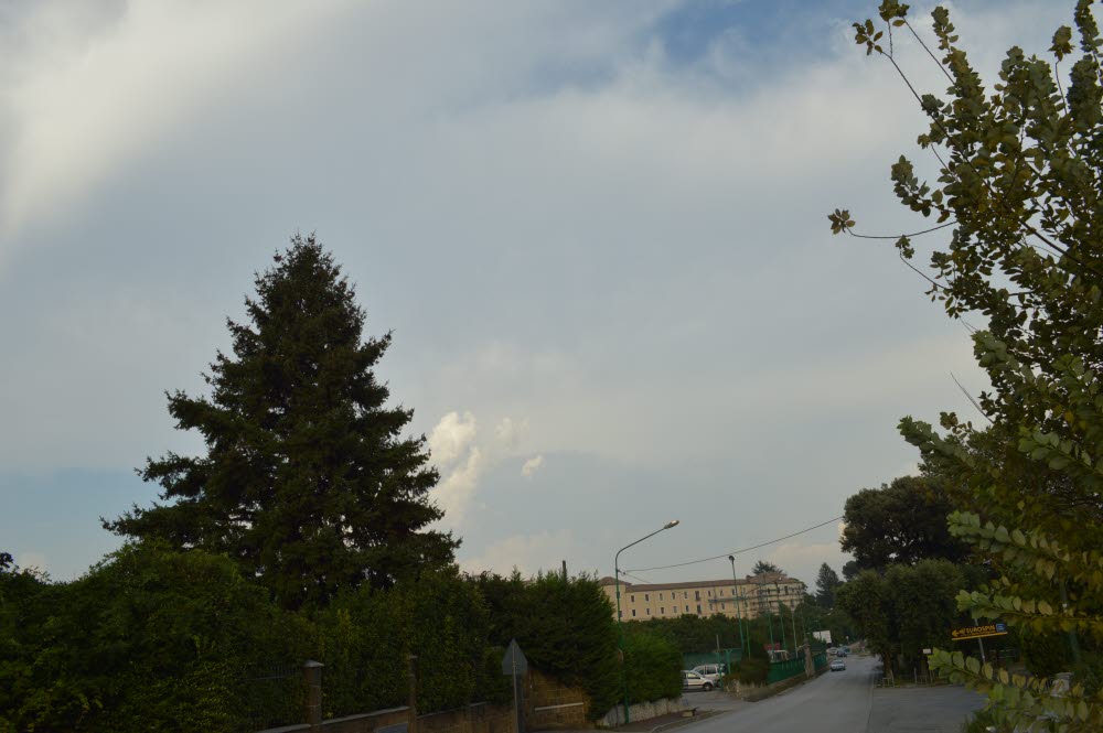 DSC_0072