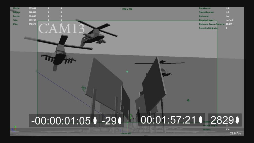 CAM13