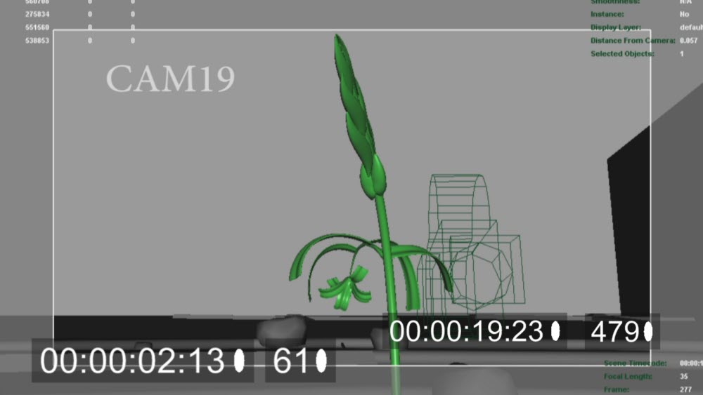CAM19