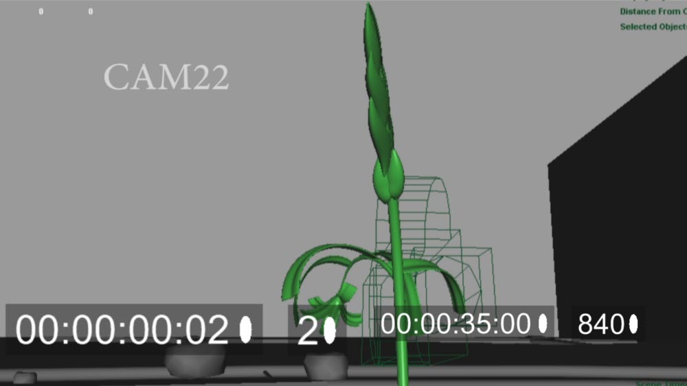 CAM22