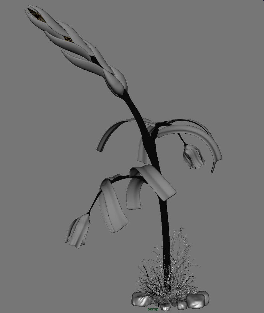PLANT SHADE1