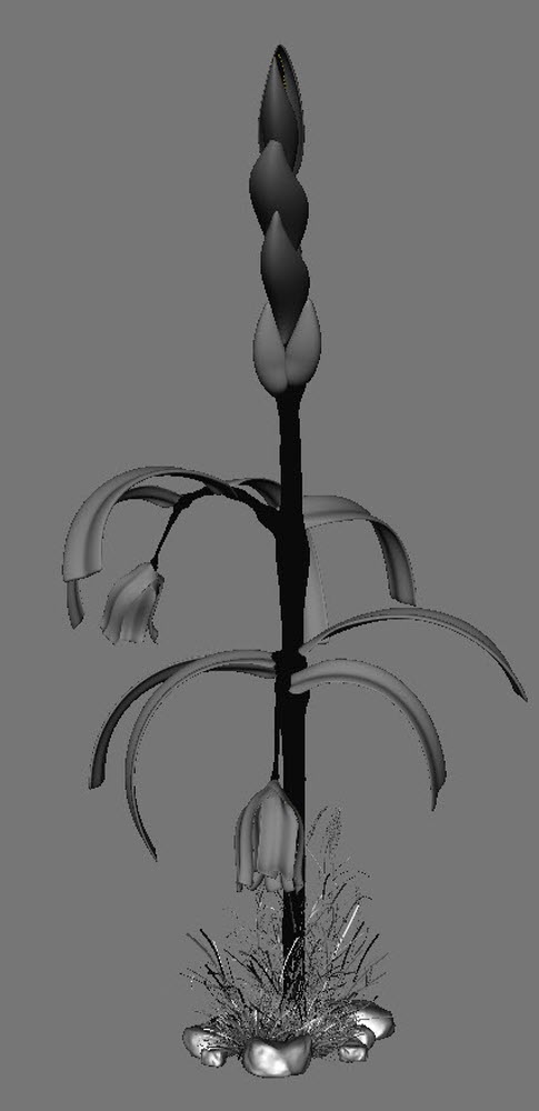 PLANT SHADE2