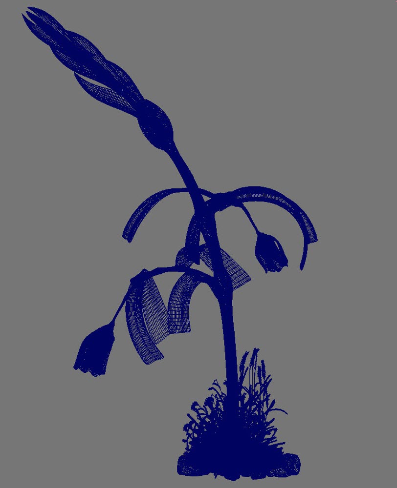 PLANT WIRE1